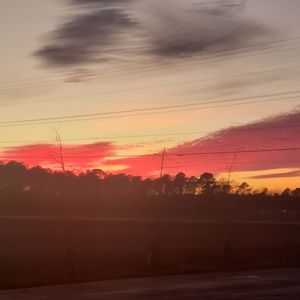 Meet your Posher, Ila